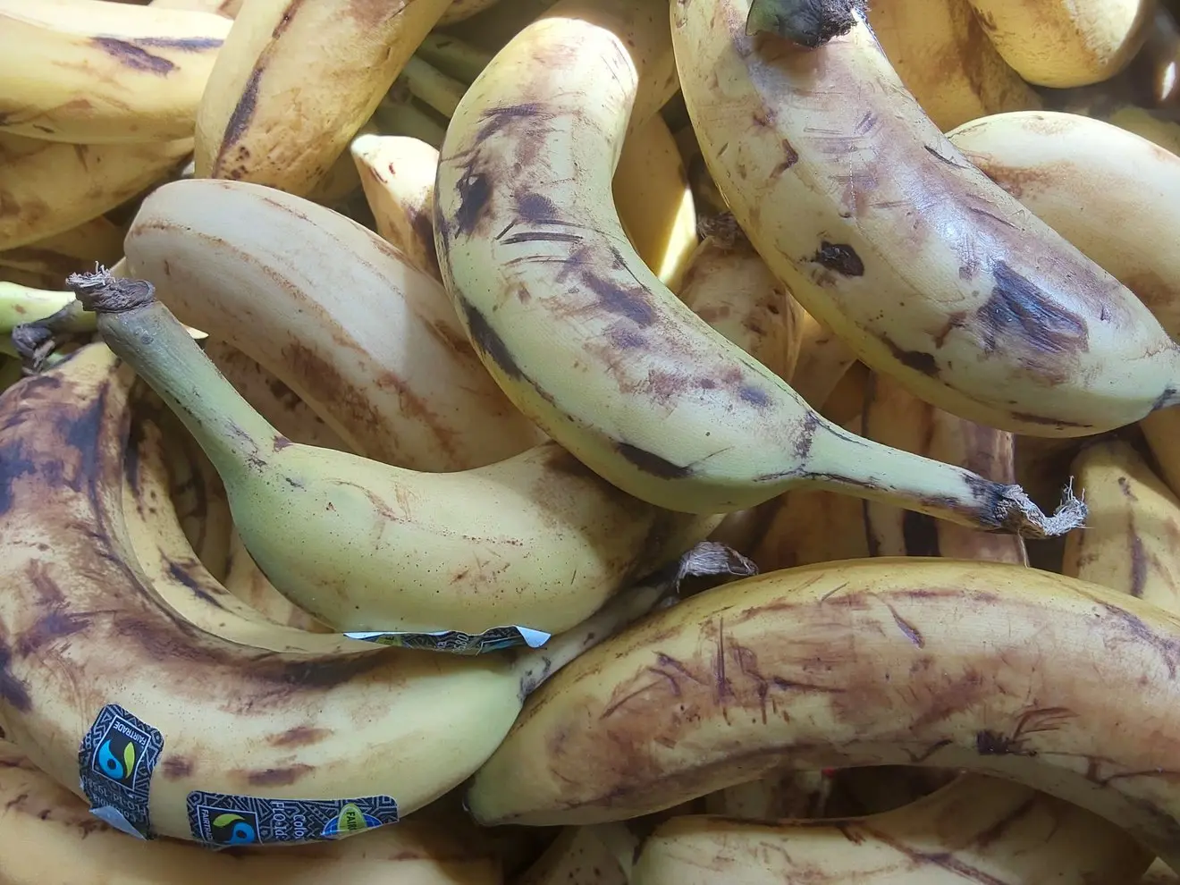 Bananen für die Warenausgabe der Tafel Höchberg